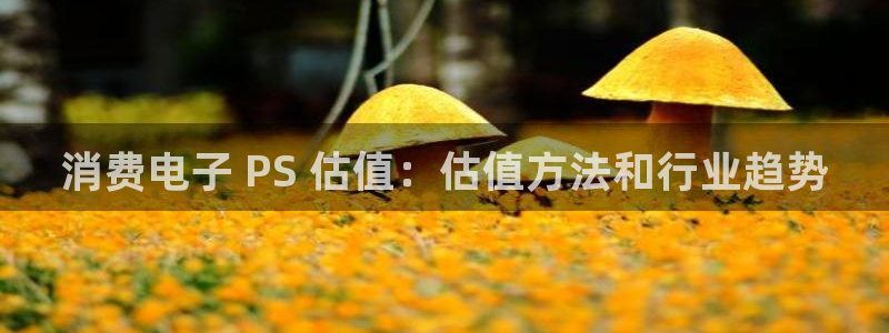 凯发国际平台官网|消费电子 PS 估值:估值方法和行业趋势