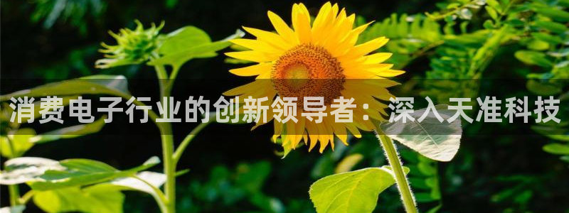AG凯发国际