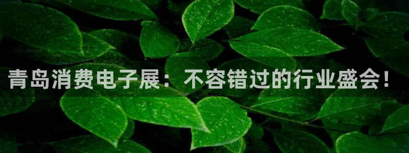 凯发K8旗舰厅App