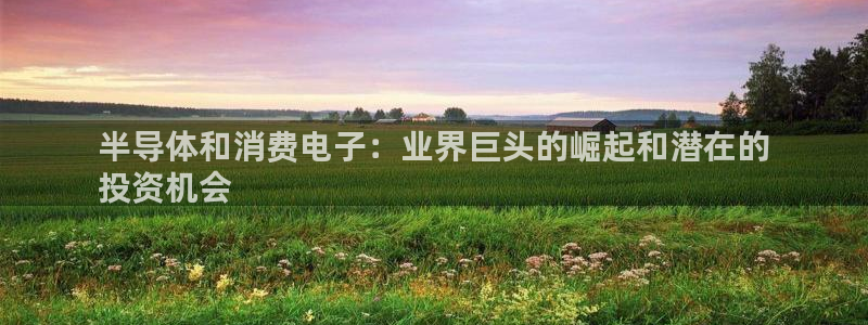 凯发官网入口首页|半导体和消费电子:业界巨头的崛起和潜在的
投资机会