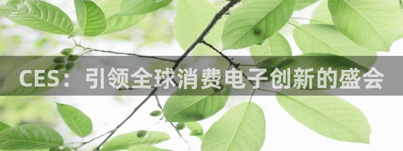 k8凯发(中国)天生赢家·一触即发|CES:引领全球消费电子创新的盛会